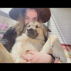 Meet your Posher, Ellen